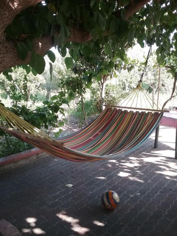 Affittacamere La Casa Dell'antiquario Graniti Esterno foto